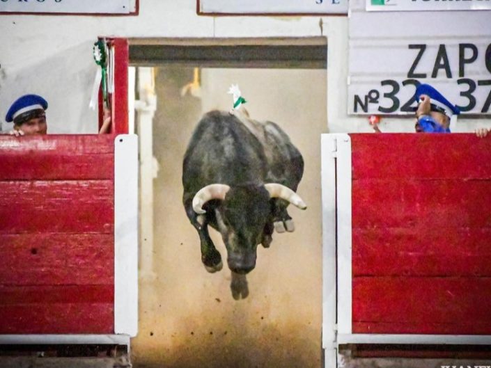 Historias Plaza de toros «San Marcos» / Juanelo Lopez